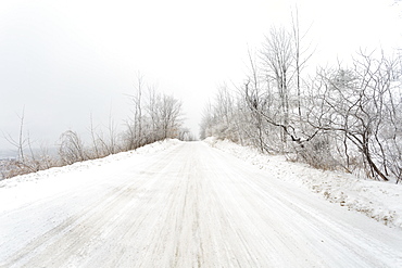 Road During Winter Blizzard, Caledon, Ontario, Canada