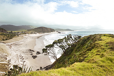 View Of The Seaside, South Pacific, North Island, New Zealand