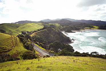 Road On A Mountainous Seaside, North Island, New Zealand