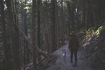 Woman Hiking With Her Dog On A Path In The Forest, Girdwood, Southcentral Alaska