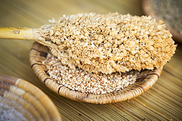 Sorghum Head On A Handwoven Bowl, Maun, Botswana