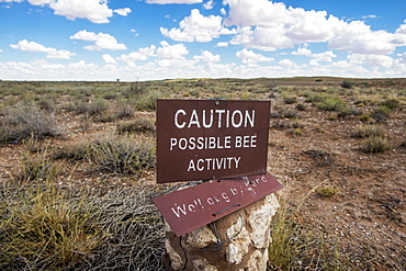 Bee Activity Caution Sign, Khalagadi Transfrontier Park, Aucherlonie Museum, South Africa