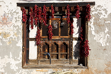 Dried Red Peppers Hanging In A Window, Paro, Bhutan