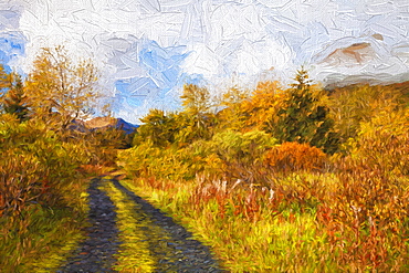 Autumn Scenic Oil Painting Along Chiniak Highway, Kodiak, Alaska, United States Of America