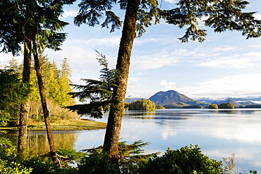 Tofino Chalet, Jensen's Bay, Tofino, British Columbia, Canada