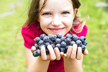 A Girl With Handfuls Of Grapes, Salmon Arm, British Columbia, Canada