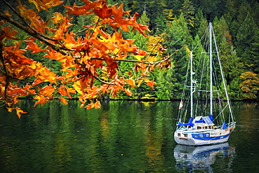 A Blue And White Sailboat Rests At Anchor In Autumn Near Gowlland Tod Provincial Park, On The Backside Of Butchart Gardens, Near Victoria, Vancouver Island, British Columbia, Canada