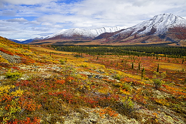 Ogilvie Mountains In Autumn Along The Dempster Highway, Yukon, Canada