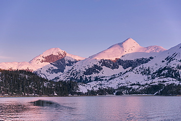 Golden Hour Light On Snow Covered Peaks In Kings Bay In Winter, Prince William Sound, Alaska, United States Of America