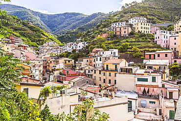 Homes In The Village Of Manarola In Cinque Terre National Park, Manarola, Liguria, Italy