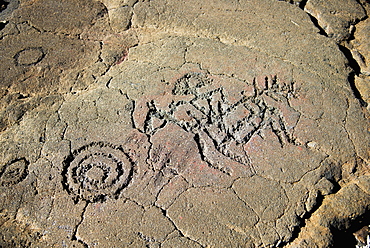 Petroglyphs On The King's Trail, Waikaloa, Island Of Hawaii, Hawaii, United States Of America