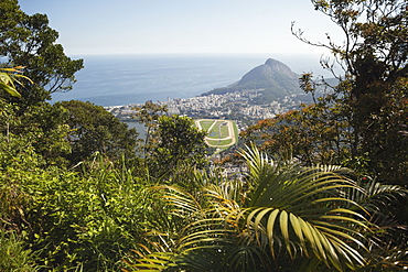 View Of Jockey Club And Leblon From Christ The Redeemer Statue, Corcovado Mountain, Tijaca National Park, Rio De Janeiro, Brazil