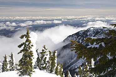 Mount Washington, Vancouver Island, British Columbia