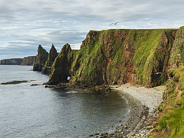 Sea Stacks And Cliffs Along Duncansby Head, John O'groats, Scotland