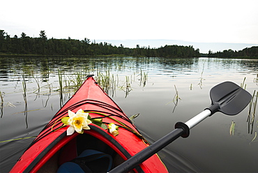 A Red Kayak And Paddle With Fresh Flowers Placed On The Bow While Floating In A Lake, Ontario, Canada