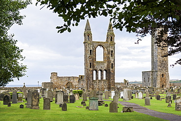 St. Andrews Cathedral Ruins And Cemetery, St. Andrews, Fife, Scotland