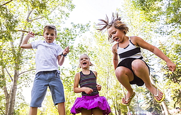 Three Siblings Jumping In The Air In A Park During A Family Outing, Edmonton, Alberta, Canada