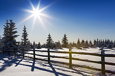 A Silhouette Wooden Log Fence In A Snow Covered Field With Snow Covered Evergreen Trees A Sun Burst And Blue Sky, Calgary, Alberta, Canada