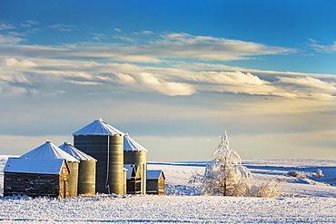 Snow Covered Metal And Wooden Grain Bins With Frosted Trees, Bushes And Stubble With Clouds And Blue Sky, Rosebud, Alberta, Canada