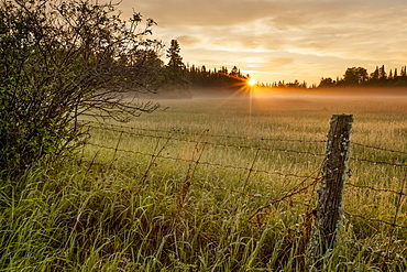 Sunrise Over Dewy Grass Field, Thunder Bay, Ontario, Canada