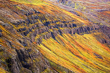 The Steep Sided Cliffs Of Icelands Westfjords Are Very Colourful In Any Season, Iceland