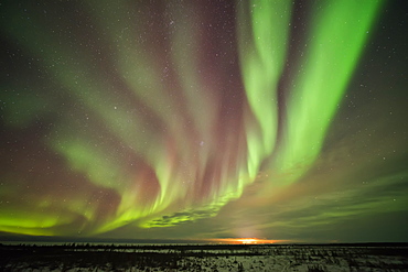 Bands Of Northern Lights In The Dark Manitoba Skies Near Churchill, Manitoba, Canada