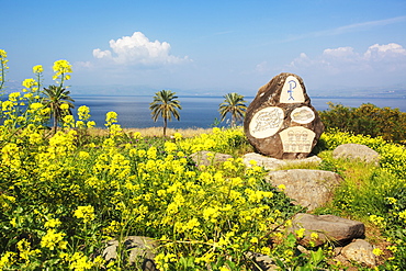 Monument Near The Sea Of Galilee Where Jesus Fed The 4000, Galilee, Israel