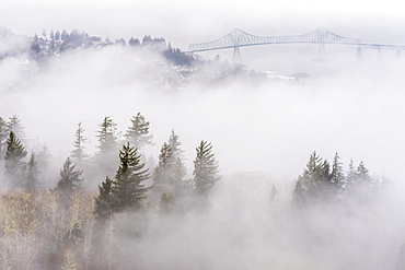 Fog Blankets The Hills Along The Columbia River, Astoria, Oregon, United States Of America