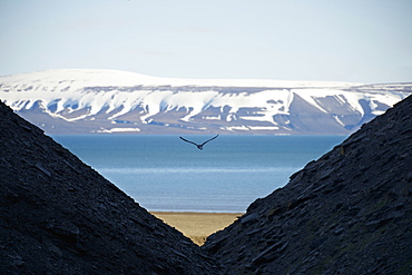 View Through Mountain Slopes To The Beach, Arctic Ocean, Snow Covered Mountains And Blue Sky, Spitsbergen, Svalbard, Norway