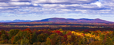 Mountain Range In Autumn Colours With Autumn Coloured Forest In The Foreground, West Bolton, Quebec, Canada