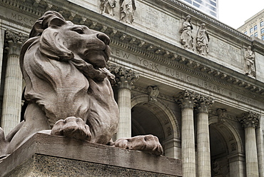 Lion Statue Outside New York Public Library, New York City, New York, United States Of America