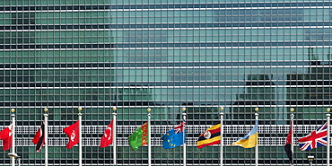 International Flags In A Row In Front Of A Headquarters Of The United Nations Building With Glass Facade, New York City, New York, United States Of America