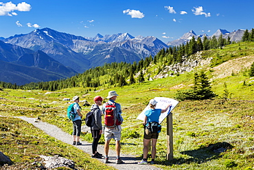 A Group Of Hikers Viewing A Interpretive Sign Along A Meadow Trail With Mountain Range In The Distance And Blue Sky And Clouds, Banff, Alberta, Canada