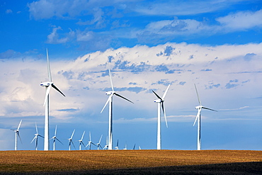 Large Wind Mills In A Golden Wheat Field With Blue Sky And Clouds, North Of Glenwood, Alberta, Canada