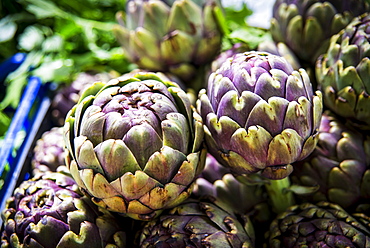 Roman Artichokes For Sale At Piazza Dell'unita Market, Rome, Italy