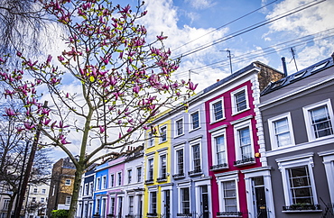 Colourful Row Housing Near Portobello Road, London, England