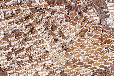 Family Owned Salt Ponds In Sacred Valley Near Urubama, Maras, Cusco, Peru