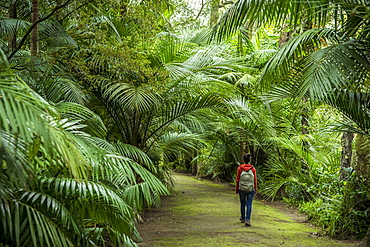 Young Woman Walking In Terra Nostra Botanical Park, Furnas, Sao Miguel, Azores, Portugal