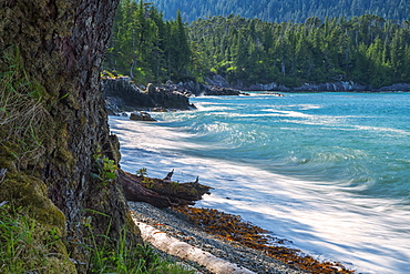 The Surf Pounds The Shoreline, Haida Gwaii, British Columbia, Canada