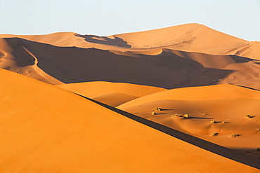 Sunrise Light Illuminate The Large, Red Sand Dunes In Sossusvlei Which Is Part Of The Namib Desert, Namibia