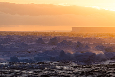 Tabular Iceberg At Sunrise, Antarctica