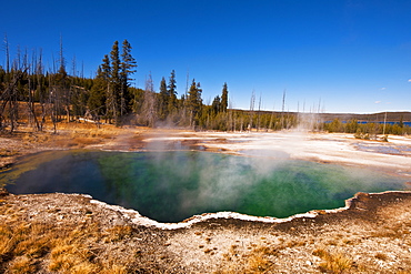 Hot Springs In Yellowstone National Park, Wyoming, United States Of America
