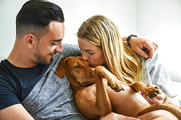 A Woman Kissing Dog With Boyfriend, Reigate, England