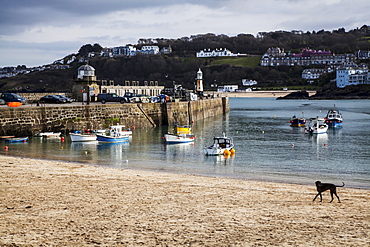 Fishing Boats In St. Ives Harbour, St. Ives, Cornwall, England