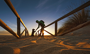 A Hiker With Backpack Stoops To Shake A Paw With A Dog On A Sand Path Leading To The Beach, Tarifa, Cadiz, Andalusia, Spain