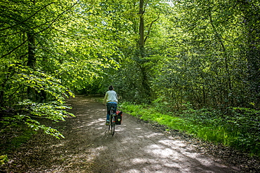 Cycling In Epping Forest, London, England