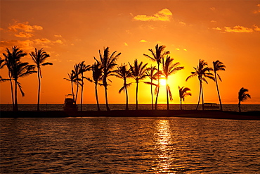 Golden Sunset In An Orange Sky With Silhouetted Palm Trees Along The Coastline, Hawaii, United States Of America