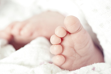 Close Up Of Newborn Baby Toes And Feet Wrapped In White Blanket, Toronto, Ontario, Canada