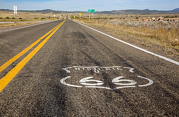 Route 66 Logo Painted On The Highway, Arizona, United States Of America