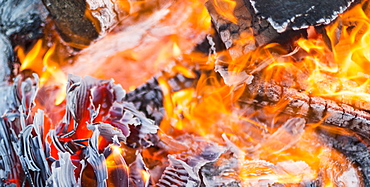 Close-up of a burning bonfire, Langley, British Columbia, Canada